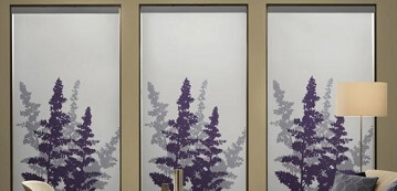 Graphic Shades