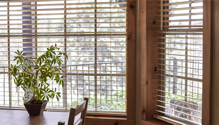 Mini window blinds