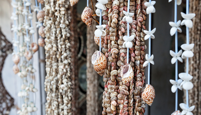 Seashells home décor