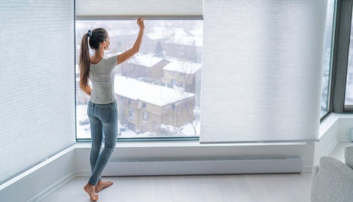 Window cellular shades