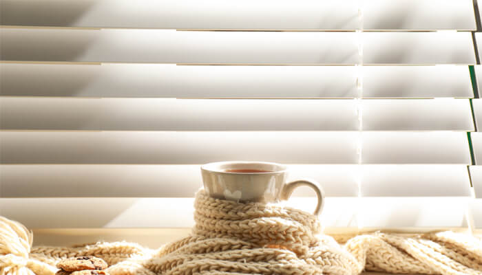 Winter window coverings