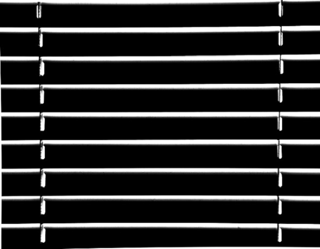 zebra-window-blinds