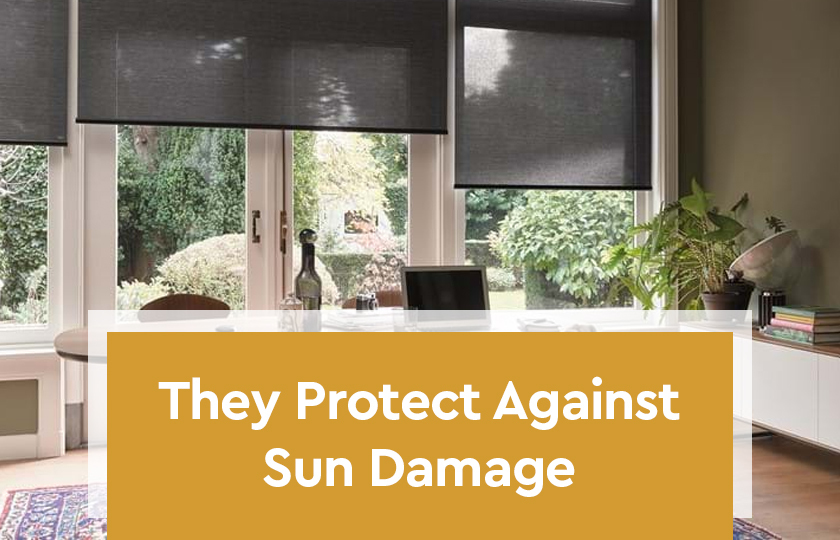 They Protect Against Sun Damage