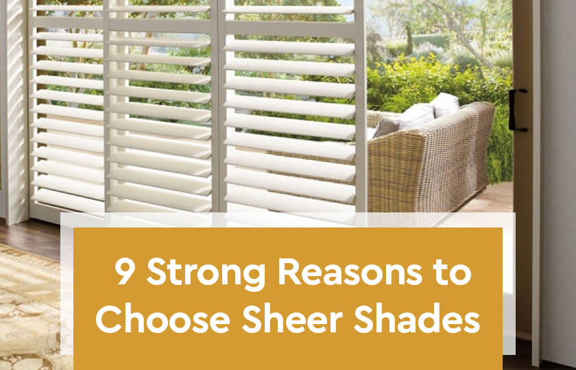 9-Strong-Reasons -to –Choose- Sheer- Shades