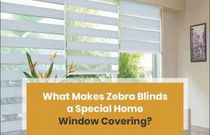Home Window Covering