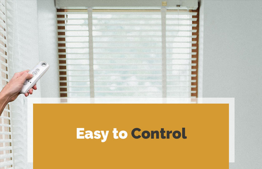 Motorization in Vaughan