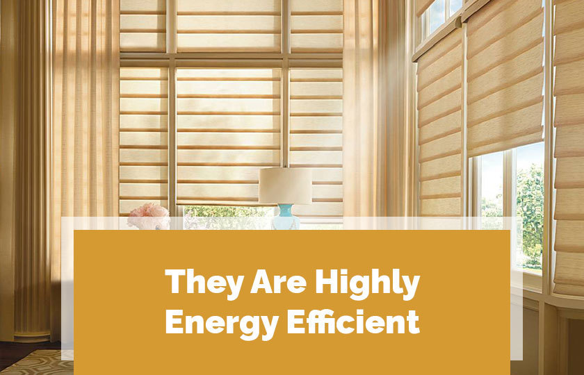 They-Are-Highly-Energy-Efficient