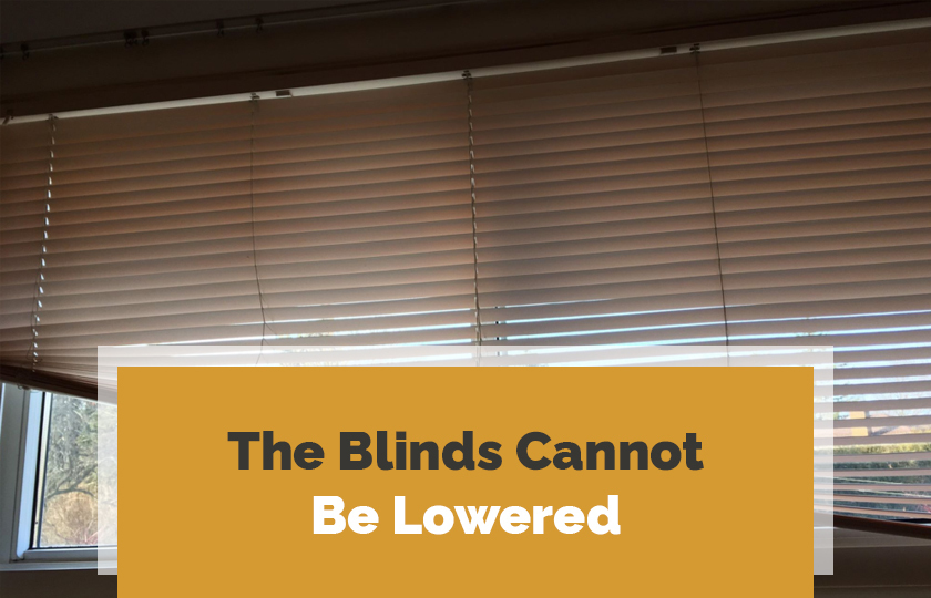 The Blinds Cannot Be Lowered
